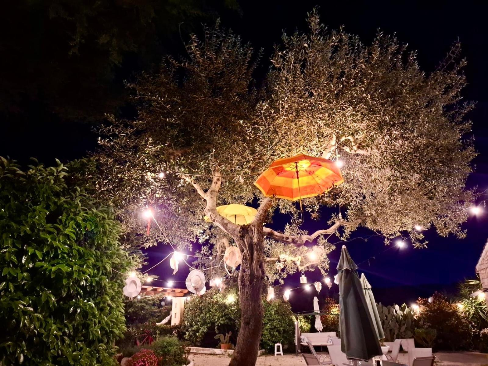 米莱拉住宿加早餐酒店 阿尔贝罗贝洛 外观 照片