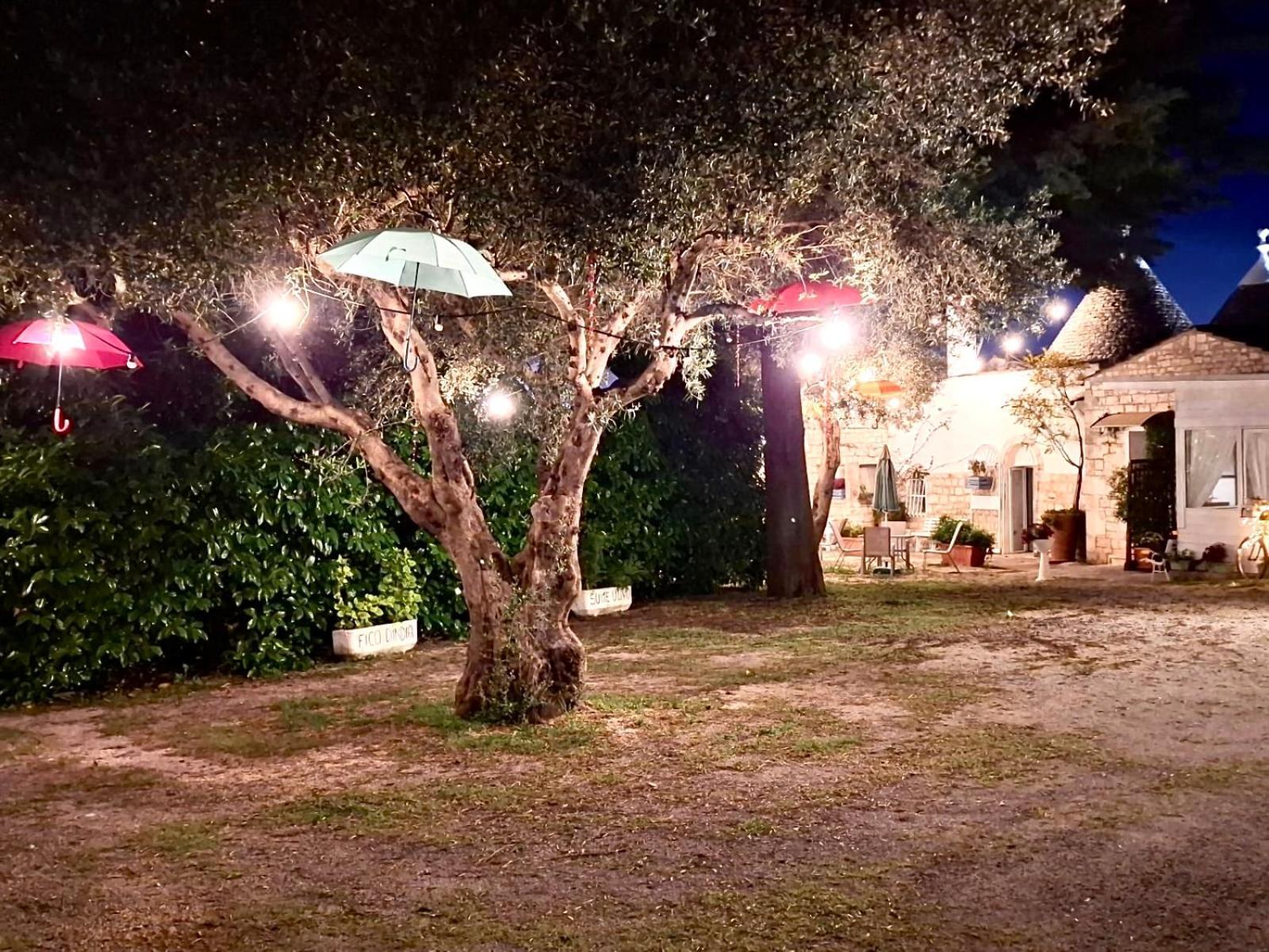 米莱拉住宿加早餐酒店 阿尔贝罗贝洛 外观 照片